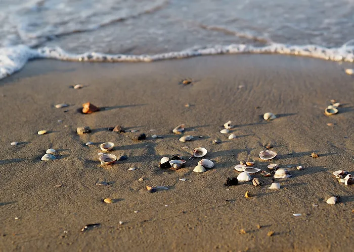 In A Quiet Area-beahost